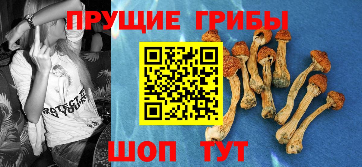 Лабинск  Галлюциногенные грибы ЛСД  Псилоцибиновые грибы GOLDEN TEACHER  Вход с VPN 